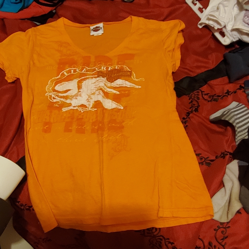 Shirts - Picture 3 of 9